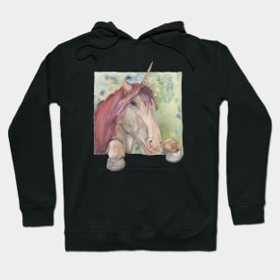 Unicorn Hoodie